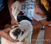 GREECE WILDFIRES ANIMALS