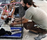 GREECE WILDFIRES ANIMALS