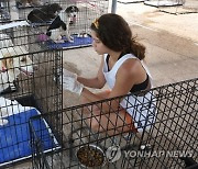 GREECE WILDFIRES ANIMALS