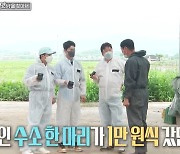 '맛남의광장' 육우 농장 주인 "홀스타인 수소 한 마리에 1만원 간 적도"