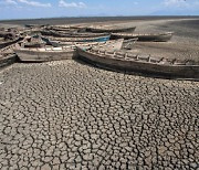 IPCC 기후변화보고서 유출.."10년 간 온실가스 절반 줄여야"