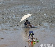 [고양이 눈]파도 대신 갯벌