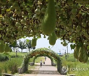 토·일요일 흐린 날씨..열대야 사라지고 더위 한풀 꺾여