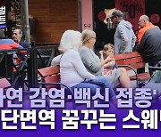 집단면역 실패 오명썼던 스웨덴, '자연 감염·백신 접종'으로 집단면역 성공할까?