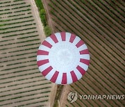 SPAIN HOT AIR BALLOONS