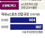 "교수님과 '롤' 한판"..게임, 교육이 되다