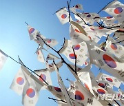 '광복절 맞이해 더욱 빛나 보이는 태극기'