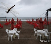 제주 해변 파라솔, 빈자리 가득