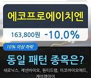 에코프로에이치엔, 전일대비 -10.0% 하락.. 외국인 -2,000주 순매도