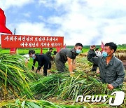 북한, '청년 사업' 박차.."미래의 주인공 청년"