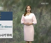 [날씨] 제주 내일 낮 동안 '소나기'..돌풍·천둥·번개 주의