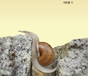 선천성 뇌성마비 작가의 '매일 치열하게 사는 법'