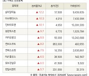 [fnRASSI]장마감, 거래소 상승 종목(삼아알미늄 12.2% ↑)