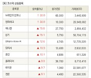 [fnRASSI]장마감, 코스닥 상승 종목(브레인즈컴퍼니 30.0% ↑)