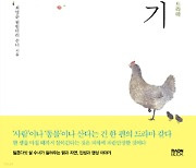 시골 마을 수녀들의 좌충우돌 닭 키우기