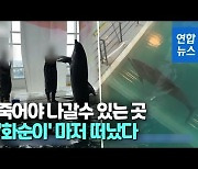 [영상] "좁은 콘크리트서 싸늘히"..제주 체험용 돌고래 결국 폐사