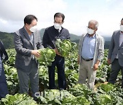 [포토] 강릉 안반데기 방문한 이성희 농협회장