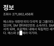 "운X해라 이기야" 걸그룹 소개글에 일베 표현 사용 논란