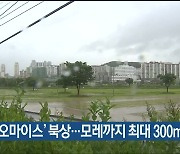 태풍 '오마이스' 북상..울산 모레까지 최대 300mm 비