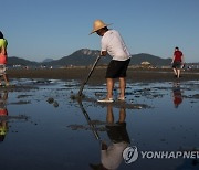 CHINA HONG KONG CLAM DIGGING