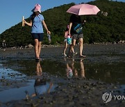 CHINA HONG KONG CLAM DIGGING