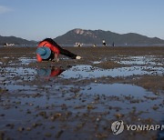 CHINA HONG KONG CLAM DIGGING