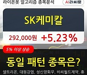 SK케미칼, 전일대비 5.23% 상승.. 이 시각 거래량 20만2260주