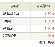 [fnRASSI]오늘의 상한가, 휴맥스홀딩스 30.0% ↑