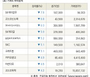 [fnRASSI]장마감, 거래소 하락 종목(SK케미칼우 -7.8% ↓)