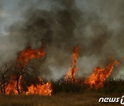 추락한 열기구 불타는 상파울루