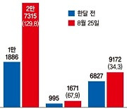 김밥에 시金치 못넣는다.. 채소값 또 폭등 '밥상물가 비상'