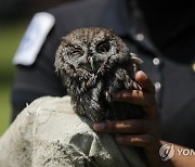 MEXICO ANIMALS