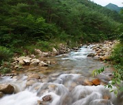 곡성군, 청계동 자연휴식지 행락철 운영 중단