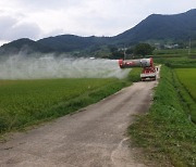 곡성군, 쌀 적정생산 위해 벼농사 후기 병해충 방제 당부