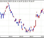 [이번주 ETF] 강달러에 베팅한다면?..'UUP'