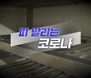 [로드맨] "지금 수술 못 합니다."..피 말리는 코로나