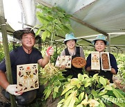 식품·외식업계, 국내산 식재료로 소비자 공략