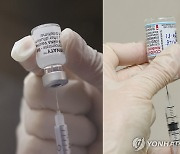 "화이자·모더나 맞으면 항체 줄어도 필요할 때 금방 재생산"