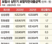 보험약관대출도 문턱 높이나