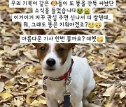 "또 X 싸놨네"..김희철, 유기견 논란에 불편한 심경