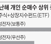 지수 내리면 수익이 2배.. 조정장에 '곱버스' 몰려간 개미들