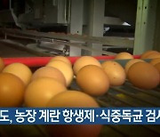 경기도, 농장 계란 항생제·식중독균 검사 확대