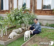 文, 풍산개 곰이·마루 새끼 7마리 이름 지어.."희망 지자체 분양"