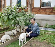 靑, '北 선물' 풍산개 새끼 이름 공개.."아름·다운·강산"