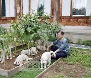 文 "북한 풍산개 새끼, 희망 지자체에 분양..이름은 아름·다운·강산"