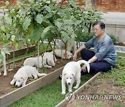 청와대, 북한 선물 풍산개 새끼 이름 공개