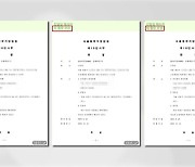 '손준성 보냄' 판결문 캡처.."증거" vs "공작"