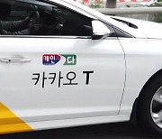 돈 되는 건 다 한다?..'플랫폼 거인' 카카오의 민낯