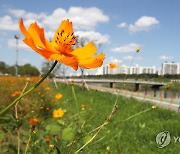 [내일날씨] 가을 성큼..10도 안팎 큰 일교차