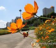 [날씨] 어느새 가을 문턱..10도 안팎 일교차